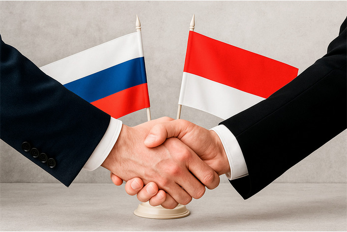 РЦИС поделился опытом цифровизации сферы ИС с Индонезией